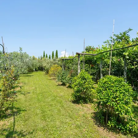 La Rosa By Interhome Вилла Монтелупо-Фьорентино